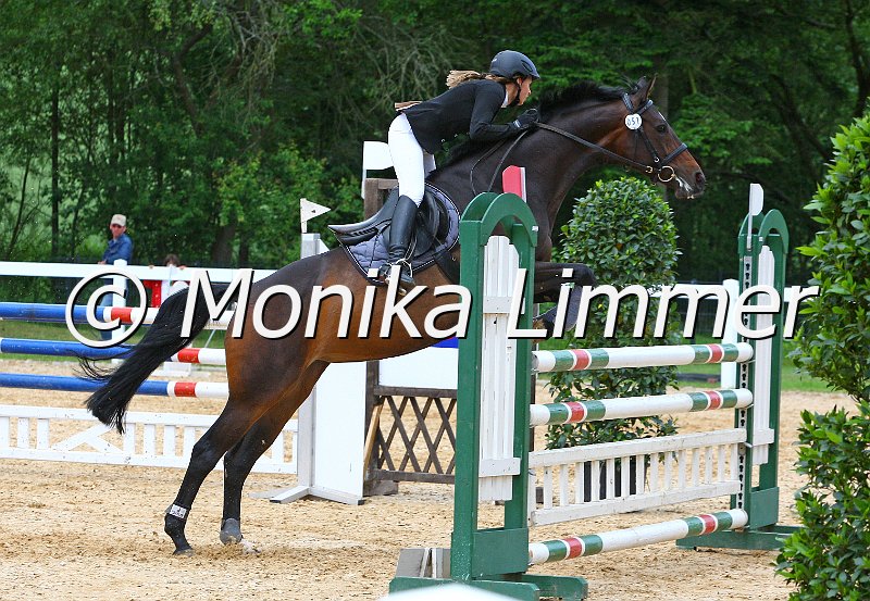 006M7372_Spring L.JPG